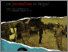 [thumbnail of Nepal National Survey Report English with APPENDIX.pdf]